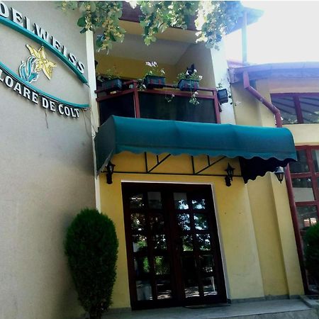 Pension Edelweiss Εξωτερικό φωτογραφία