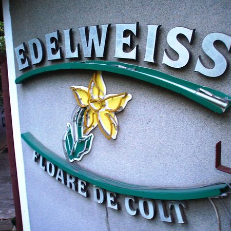 Pension Edelweiss Εξωτερικό φωτογραφία