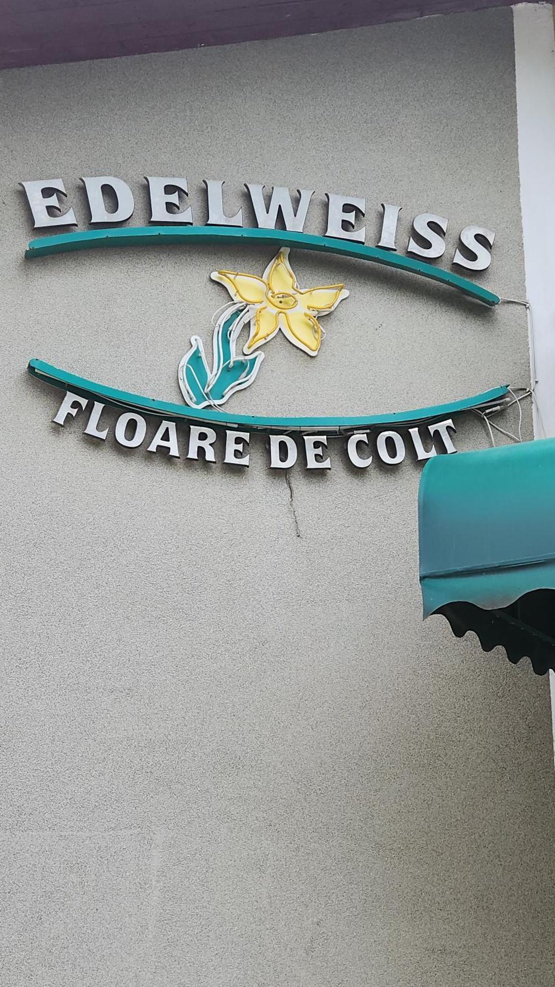 Pension Edelweiss Εξωτερικό φωτογραφία
