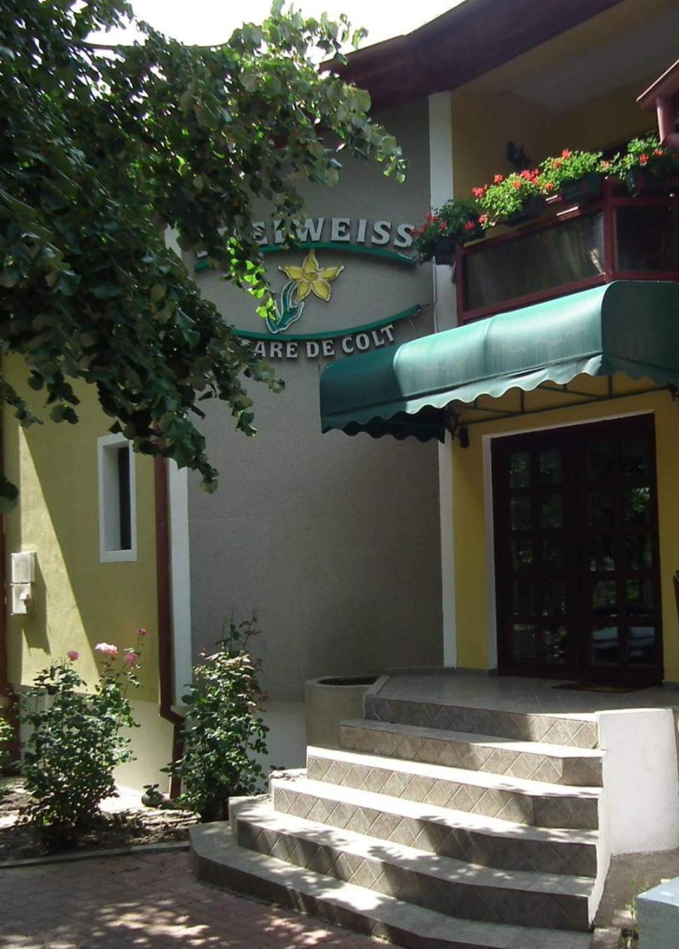 Pension Edelweiss Εξωτερικό φωτογραφία